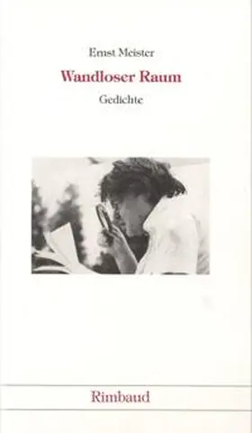 Meister / Kiefer |  Ernst Meister Gedichte in 15 Bänden / Wandloser Raum | Buch |  Sack Fachmedien