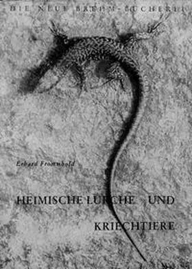 Frommhold |  Heimische Lurche und Kriechtiere | Buch |  Sack Fachmedien