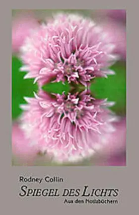 Collin |  Spiegel des Lichts | Buch |  Sack Fachmedien