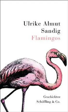Sandig |  Flamingos | Buch |  Sack Fachmedien