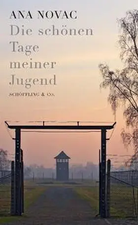 Novac |  Die schönen Tage meiner Jugend | Buch |  Sack Fachmedien