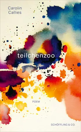 Callies |  teilchenzoo | Buch |  Sack Fachmedien
