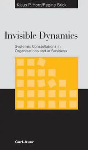 Horn / Brick | Invisible Dynamics | Buch | 978-3-89670-491-7 | sack.de