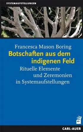 Mason Boring |  Botschaften aus dem indigenen Feld | Buch |  Sack Fachmedien