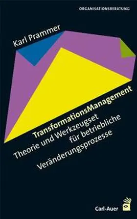 Prammer |  TransformationsManagement | Buch |  Sack Fachmedien