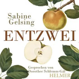 Gelsing |  Entzwei | Sonstiges |  Sack Fachmedien
