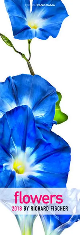  Flowers 2018 | Sonstiges |  Sack Fachmedien