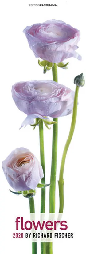 Fischer |  Flowers 2020 | Sonstiges |  Sack Fachmedien