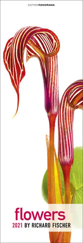  Flowers 2021 | Sonstiges |  Sack Fachmedien