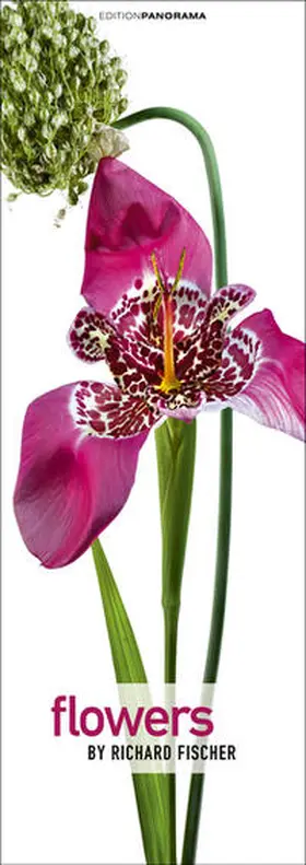 Fischer |  Flowers | Sonstiges |  Sack Fachmedien