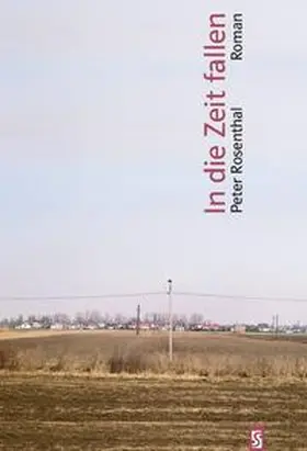 Rosenthal |  In die Zeit fallen | Buch |  Sack Fachmedien