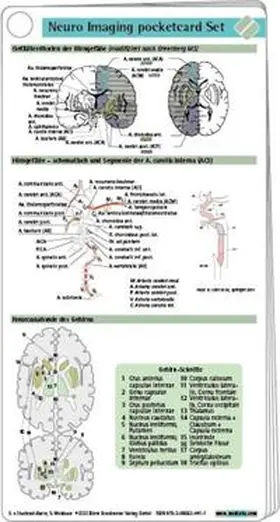 Stuckrad-Barre / Weidauer |  Neuro Imaging pocketcard Set | Buch |  Sack Fachmedien