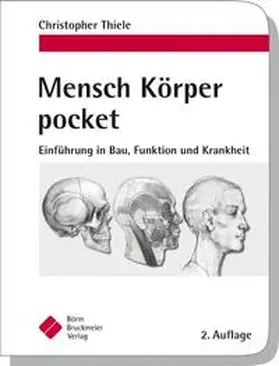 Thiele |  Mensch Körper pocket | Buch |  Sack Fachmedien