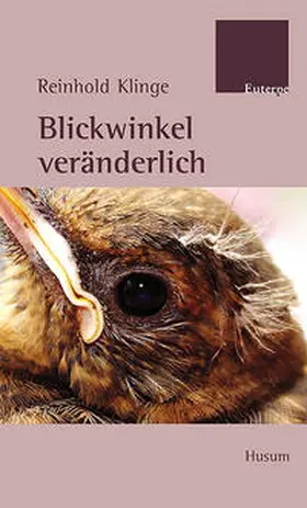 Klinge |  Blickwinkel veränderlich | Buch |  Sack Fachmedien