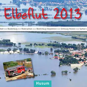 Paulsen |  Elbeflut 2013 | Buch |  Sack Fachmedien