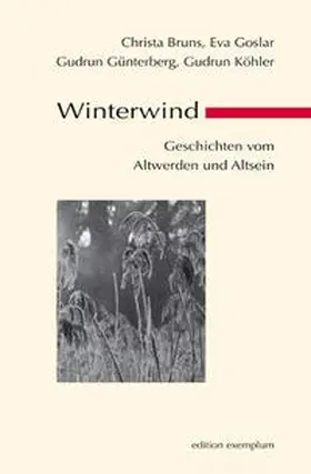 Bruns / Goslar / Günterberg |  Winterwind | Buch |  Sack Fachmedien