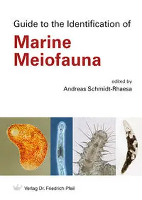Schmidt-Rhaesa |  Guide to the Identification of Marine Meiofauna | Buch |  Sack Fachmedien