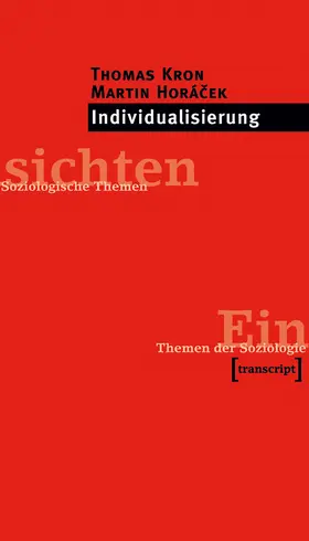 Kron / Horácek |  Individualisierung | Buch |  Sack Fachmedien