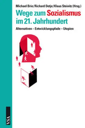 Brie / Detje / Steinitz |  Wege zum Sozialismus im 21. Jahrhundert | Buch |  Sack Fachmedien