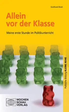 Breit |  Allein vor der Klasse | Buch |  Sack Fachmedien