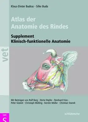Budras / Buda | Atlas der Anatomie des Rindes | Buch | 978-3-89993-023-8 | sack.de