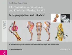 Riegel / Hakola |  Bild-Text-Atlas zur Anatomie und Klinik des Pferdes | Buch |  Sack Fachmedien