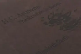 Artmann |  Frankenstein in Sussex | Buch |  Sack Fachmedien