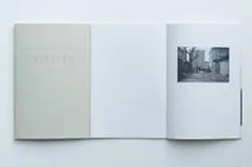 Braun |  Martin Behr, Martin Osterider: Triester 1 | Buch |  Sack Fachmedien