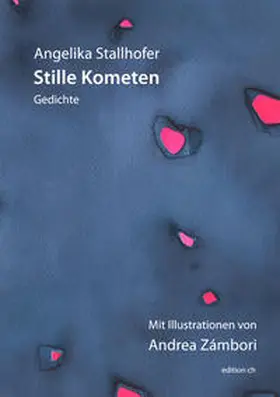 Stallhofer |  Stille Kometen | Buch |  Sack Fachmedien
