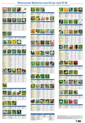 Ploberger |  Plakat Westliche Kräuter aus Sicht der TCM mit 122 Abbildungen | Sonstiges |  Sack Fachmedien