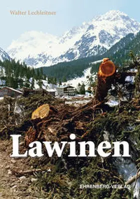 Lechleitner |  Lawinen | Buch |  Sack Fachmedien