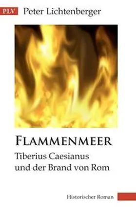 Lichtenberger |  Flammenmeer | Buch |  Sack Fachmedien