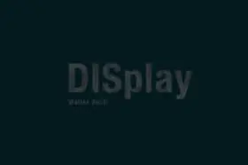 Seidl |  DISplay | Buch |  Sack Fachmedien