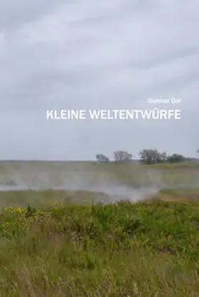 Dal / Friesinger |  Kleine Weltentwürfe | Buch |  Sack Fachmedien