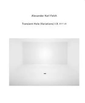 Felch / Friesinger / Barzilay |  Transient Hole (Variations) I-X 2017-20 | Buch |  Sack Fachmedien