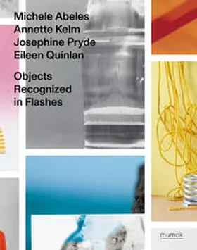 Michalka |  Objects Recognized in Flashes | Buch |  Sack Fachmedien