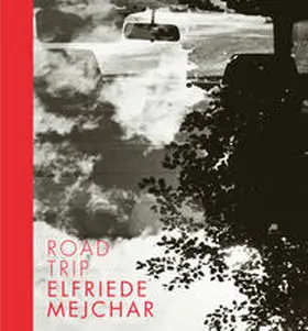 Mejchar |  ROAD TRIP | Buch |  Sack Fachmedien