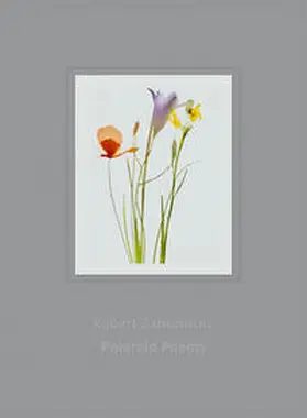 Schögl / Zahornicky |  Polaroid Poems | Buch |  Sack Fachmedien