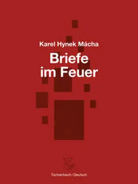 Mácha / Cikán |  Briefe im Feuer | Buch |  Sack Fachmedien