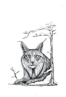 Litvinova |  Körbe voller Zöpfe | Buch |  Sack Fachmedien