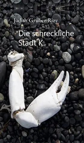 Gruber-Rizy |  Die schreckliche Stadt K. | Buch |  Sack Fachmedien