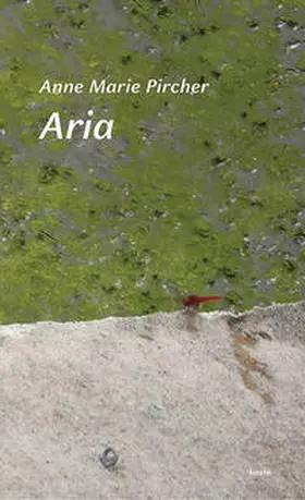 Pircher |  Aria | Buch |  Sack Fachmedien