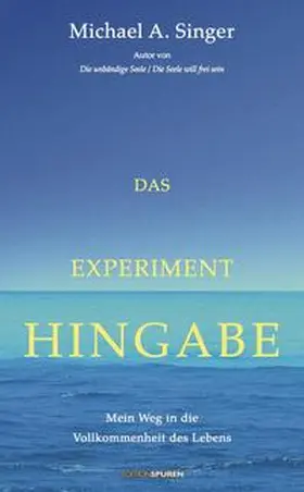 Singer |  Das Experiment Hingabe | Buch |  Sack Fachmedien