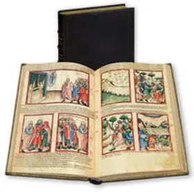 Pfa¨ndtner / Bauer-Eberhardt / Molin Pradel |  Die Bilderbibel aus Padua | Buch |  Sack Fachmedien