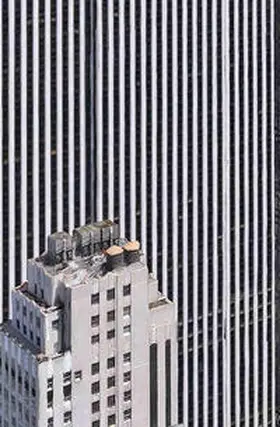 Bochsler / Sarasin |  The Rendering Eye - Urban America revisited | Buch |  Sack Fachmedien