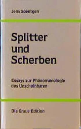 Soentgen |  Splitter und Scherben | Buch |  Sack Fachmedien