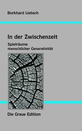 Liebsch |  In der Zwischenzeit | Buch |  Sack Fachmedien