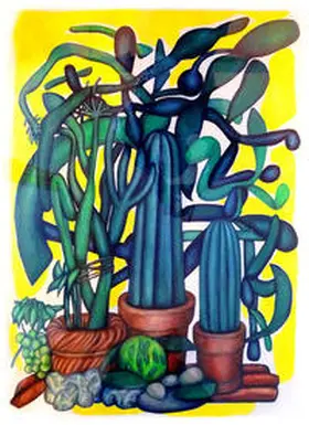 Pfeiffer |  Bildrausch. Drawings 1966–2018 | Buch |  Sack Fachmedien