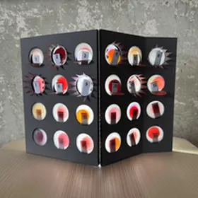 Schwager |  Literarischer Adventskalender | Buch |  Sack Fachmedien