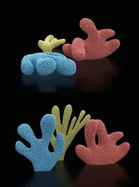 Comte |  After Nature. | Buch |  Sack Fachmedien